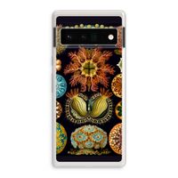 Haeckel Ascidiae: Google Pixel 6 Pro Transparant Hoesje