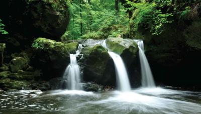Waterval groen 130x70cm Tuinschilderij - Customize it