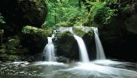 Waterval groen 130x70cm Tuinschilderij - Customize it