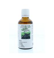 Sabal serrulata fructus tinctuur