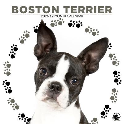 Boston Terrier Kalender 2026