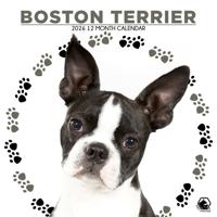 Boston Terrier Kalender 2026 Boston Terrier Kalender 2026