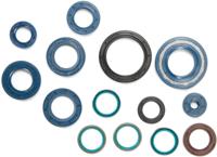 ATHENA motor-keerring set motorshield monster 400/600/750/sport