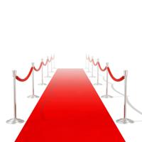 Rood tapijt 1 x 10 m extra zwaar 400 g/m2