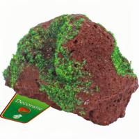 Boon Lavasteen Aquarium Ornament met Mos 12x8cm - Natuurlijk Decor, Veilig, Onderhoudsarm