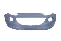 Bumper 5510005001900P