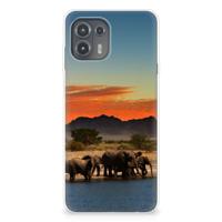 Motorola Edge 20 Lite | TPU Hoesje | Olifanten