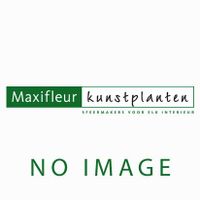 Dischidia kunst hangplant 70cm  - grijs/groen