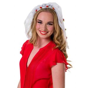 Witte tiara bruid Vrijgezellen Party