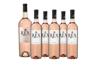 REX Rosé pakket met Magnum