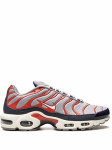 Nike baskets Air Max Plus - Gris