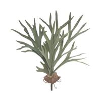 Hertshoorn 43 cm kunstplant - Buitengewoon de boet