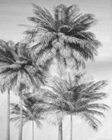 Komar Home; Komar Colours Fotobehang Cocco - X4-1019