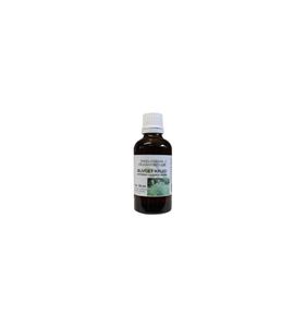Artemisia vulgaris herb/bijvoet tinctuur bio