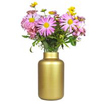 Floran Bloemenvaas Milan - mat goud glas - D15 x H25 cm - melkbus vaas met smalle hals   -