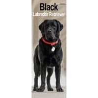 Labrador Retriever Zwart Kalender 2026 Slimline
