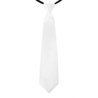 Witte verkleed stropdassen 40 cm voor dames/heren   -