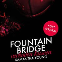 Fountain Bridge - Verboden Kussen - thumbnail