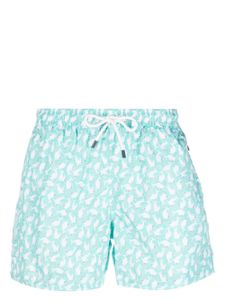 Fedeli Madeira seal-print swim shorts - Vert