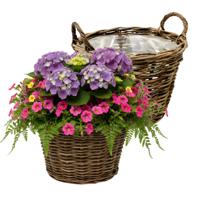 VD Leeden Plantenmand Twijg - 2x - rond - bruin - 40 x 30 cm - rotan - gevlochten riet - bloemenmand