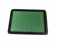 Green Vervangingsfilter P616015