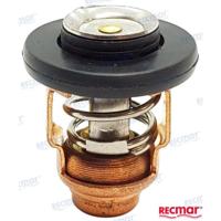 REC6AH-12411-00 - THERMOSTAAT 50 graden-60 graden Yamaha