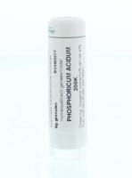 Homeoden Heel Phosphoricum acidum 200K 6 Gram