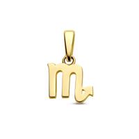 14k Geelgouden Hanger Sterrenbeeld Schorpioen - Per Stuk