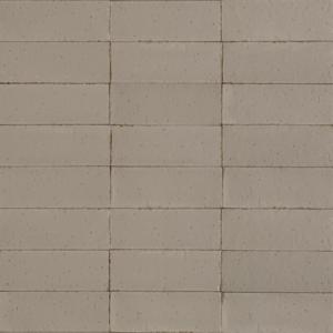 Ragno Glace RAEW Wandtegel 075X200 Mastice 9mm Glans