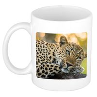 Dieren foto mok luipaard - jaguars/ luipaarden beker wit 300 ml - thumbnail