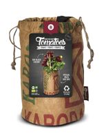 Baza Seeds &amp; Tomatoes rags bio black cherry