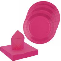 Feest/verjaardag servies set 10x bordjes/25x servetten - fuchsia roze - karton