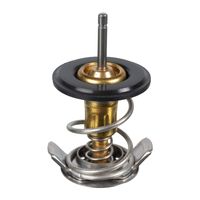 thermostaat 104868