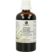 Groene Os Solidago complex paard/pony