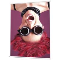 Posterhanger 40 cm zilver