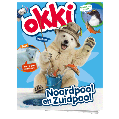 Okki | Jaar Basis | Jeugd Educatiefonds