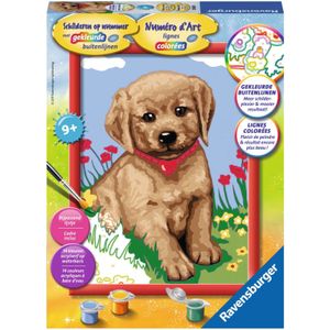 Puppy schilderen op nummer (286201)