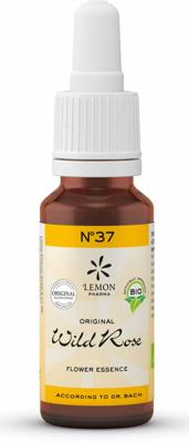 Lemon Pharma Bach NO.37 Wild Rose Lemon Pharma Bach NO.37 Wild Rose