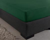 Dreamhouse Enkel Jersey 135 gr. Hoeslaken Botanisch Groen 140 x 200