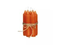 Tafelkaarsjes cinnamon, 7 st. - Hortus