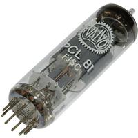 PCL 81 Elektronenbuis Triode-eindpentode 150 V, 200 V 1.3 mA, 30 mA Aantal polen: 9 Fitting: Noval 1 stuk(s)