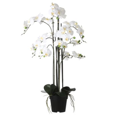 Mica Decorations Orchidee bloem kunstplant - parel wit - H97 x B19 cm