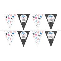 2x Gender reveal party/feestje versiering vlaggenlijnen 10 meter   - - thumbnail