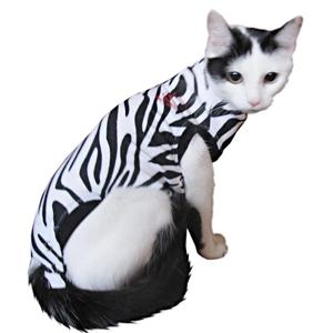 Medical Pet Shirt Kat Zebraprint XXXS