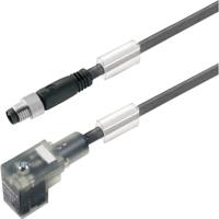 Weidmüller 1916700250 Sensor/actuator connector, geassembleerd M8 Aantal polen (sensoren): 3 Stekker, recht 2.50 m 1 stuk(s)