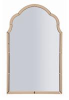 TANGER WANDSPIEGEL ROZE CM 62X1X100 ( BINNENSPIEGEL AFMETING CM 55X94)