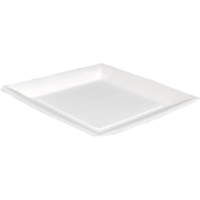 Biodore Bord | vierkant | 1-vaks | karton | 23x23cm | wit | 400 stuks