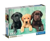 Clementoni puzzel 1000pcs labradors