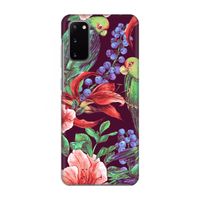Papegaaien: Volledig geprint Samsung Galaxy S20 Hoesje