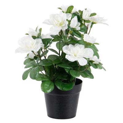 Louis Maes Azalea Kunstplant - wit - in binnenpot - H25 cm - kunstbloemen